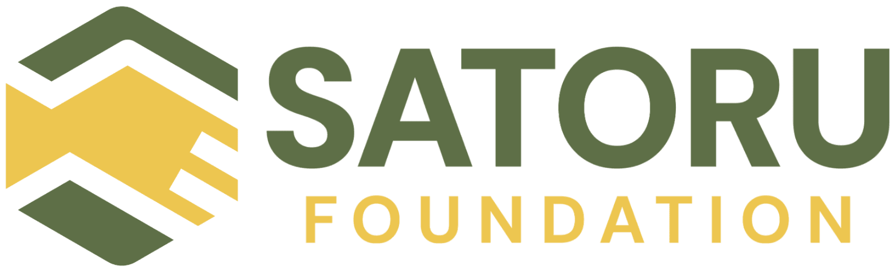 Satoru Foundation Logo